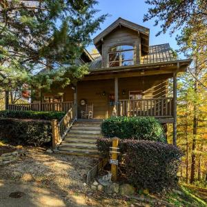 Bear Hug by Avada Properties