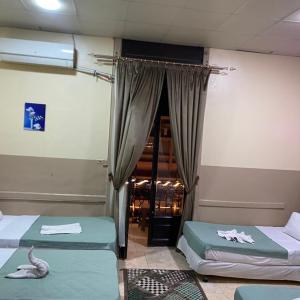 D One hostel