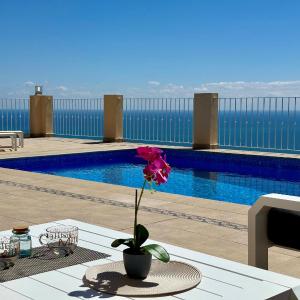 Villa Paraíso