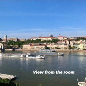 Danube & BudaCastle View