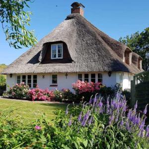 Haus Husen ID 430