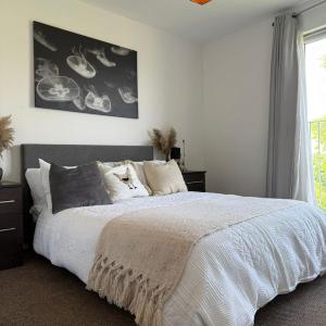Cozy room in a shared flat by Etihad and Coop Live Arena