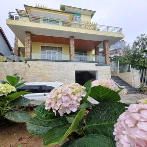 Top Hill Halong Homestay