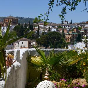 City Central Studio +Private Garden +Amazing View