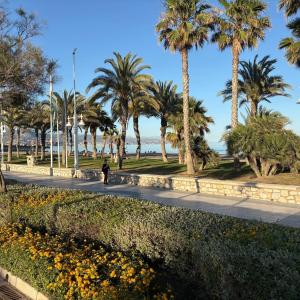 Ideal sol y playa