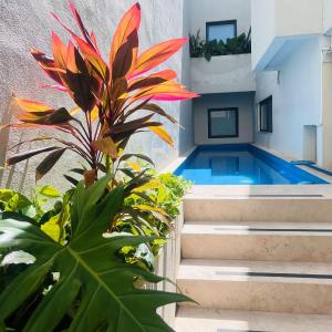 CASA ULA - Cancún