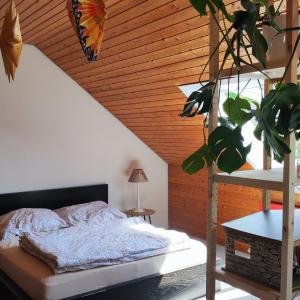 Big Cozy Entire Family Appartment