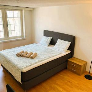 New Cozy 2 room Apartment in Zurich Old Town Center RENN - Self Checkin