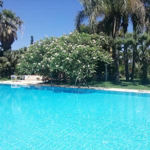 Holiday Home Green Paradise