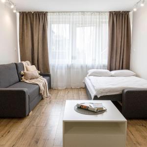 Central Wroclaw Apartment - Old Town - Swidnicka street