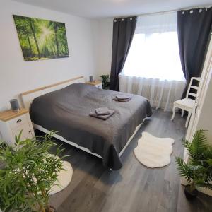 Large Central Apartment - MODERN & Fully Equipped - near fair