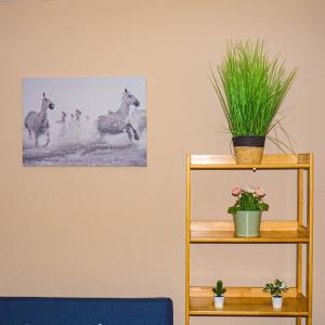 Cosy Flat off City Centre