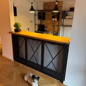 Apartamenty Studio