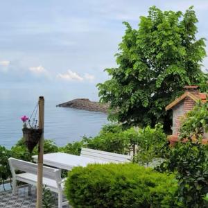 Trabzon Villa