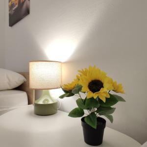 Apartmani Tarik