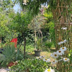 Room with a garden