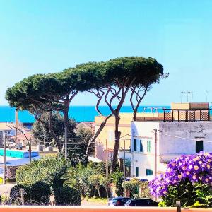 Anzio paradise