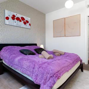 Deluxe Rabbit Suite