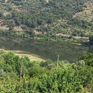 Douro Balcony