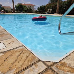 Sunflower - 3 bedroom spacious apartment, Peyia