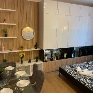 Luxury apartment in city center
