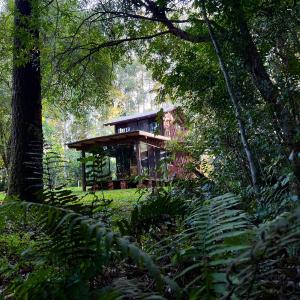 Refugio Tingazu