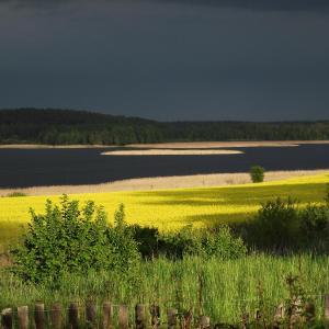 Zofiówka