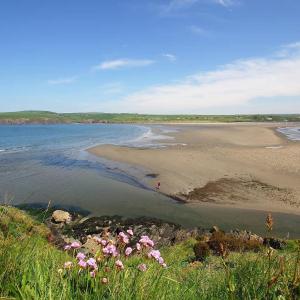 Three bedroom central Newport, Pembrokeshire