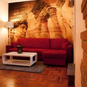 St Peter Vatican wonderfull view apartment