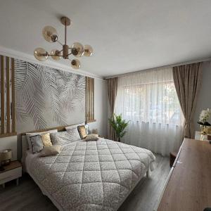 Sara Suite