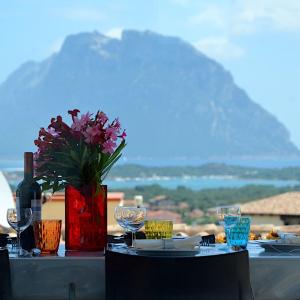 Villa syloic