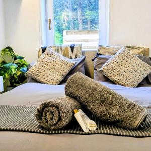RainforestLodge Edinburgh