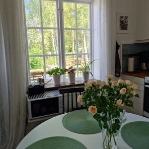 Ales BnB Lägenheten