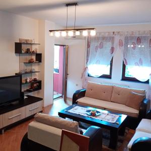Apartment 6 centar