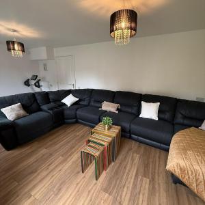 The Olive Villa