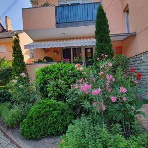 Apartment Balatonföldvar - Balaton 18519