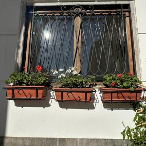 La finestra sugli archi