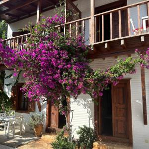 Courtyard Kalkan