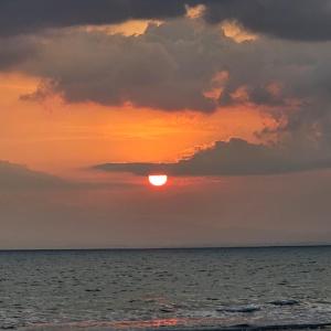 Apartamento en la playa