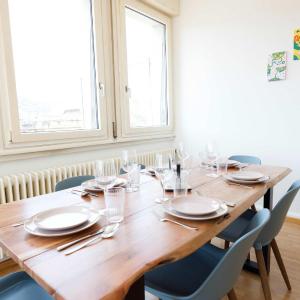 Spacious Zurich Apt Huge Terrace & Views