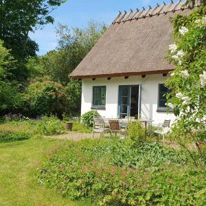 Colour Joy In Thatched House Of The North Coast