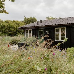 Romantic Cabin Near Water And History