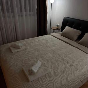 Buddy Apartments