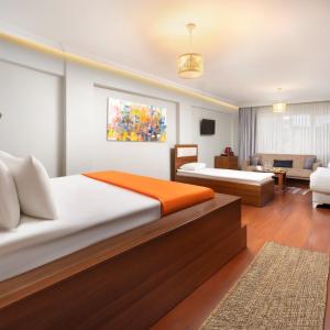 Sultanahmet Enjoyer Suites