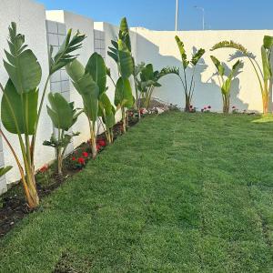 Villa rez de chaussée luxe