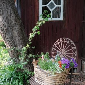 Väentupa