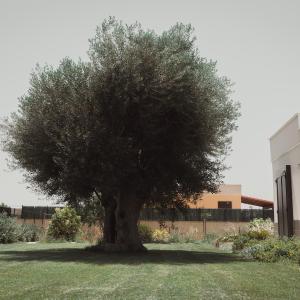 Masseria Gravame - Case Vacanza
