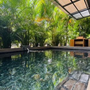 Casa Carambola Bioluminicencia, Tortuga y Quesera