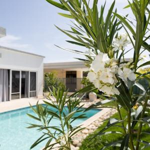 Book Villa 1002 Luxury in Sosua