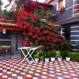 villa Heljos apartaments